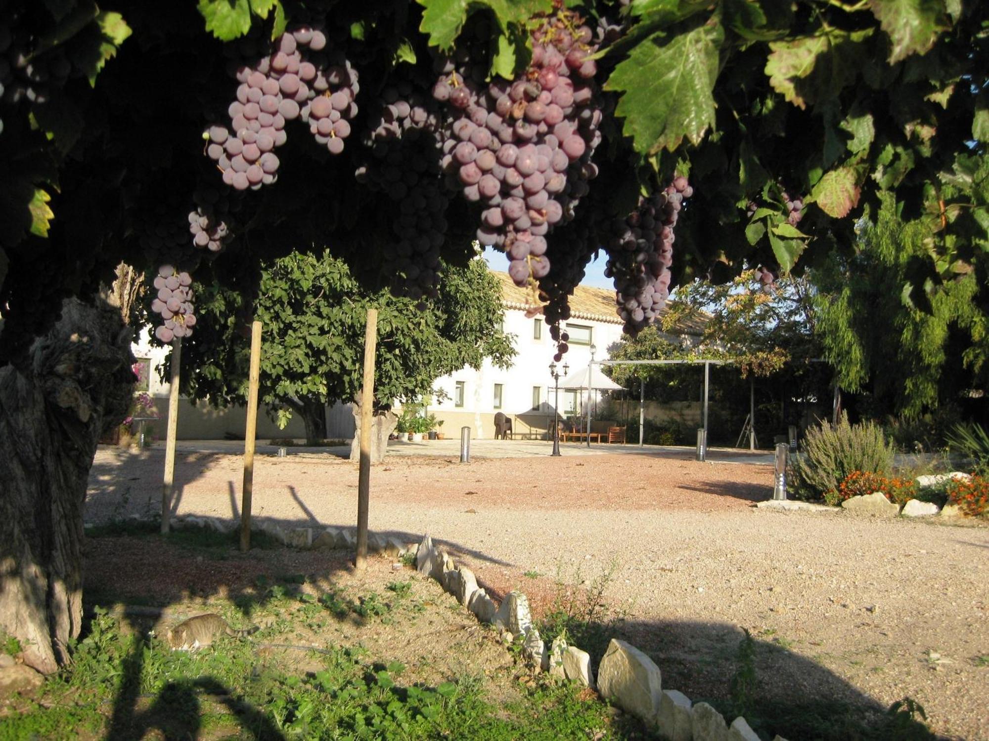 Jardines De Casablanca Hotel Caravaca De La Cruz Luaran gambar
